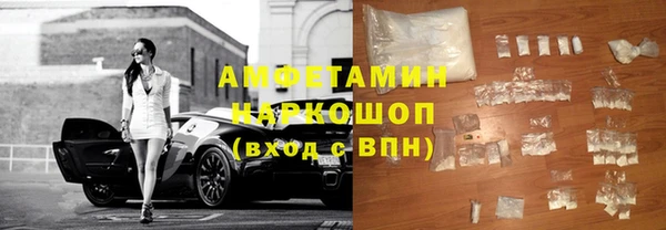 гидра Каменка