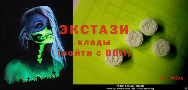 гидра Каменка