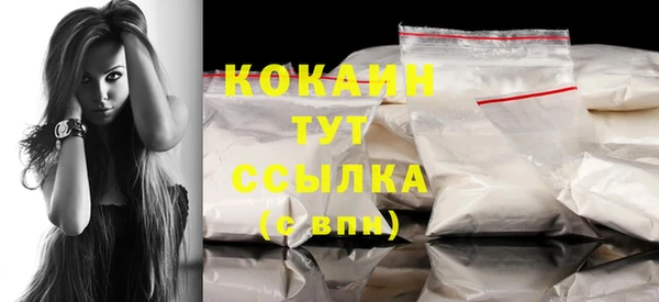 гидра Каменка