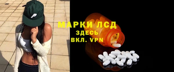 гидра Каменка