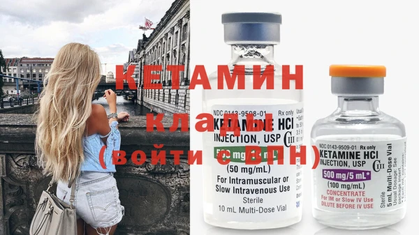 гидра Каменка
