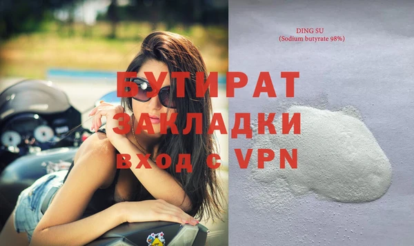 гидра Каменка
