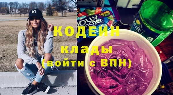 гидра Каменка