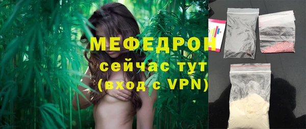 гидра Каменка