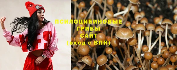 бошки Каменск-Шахтинский