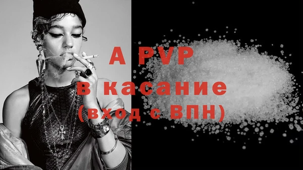 гидра Каменка