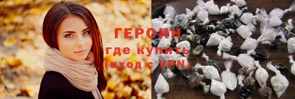 гидра Каменка