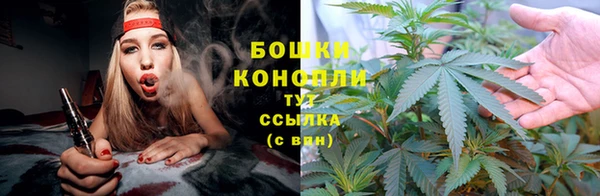 гидра Каменка